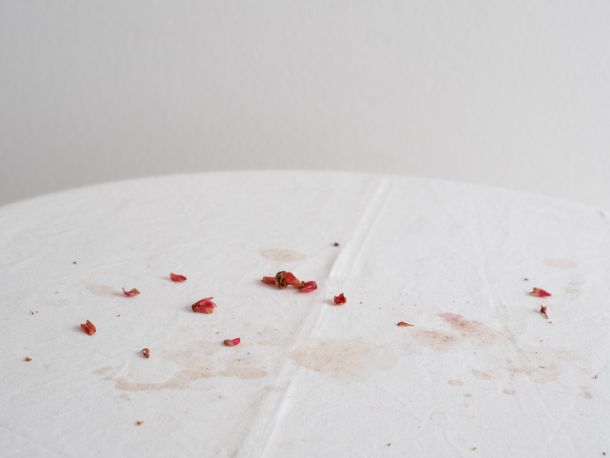 Fotografías Rocío Bueno