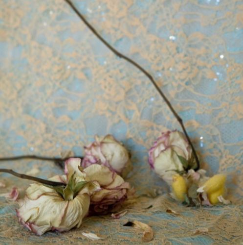 Vida suspendida (rosas) Laura Torrado