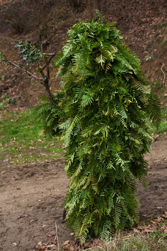 POrtfolios seleccionados María Serrano