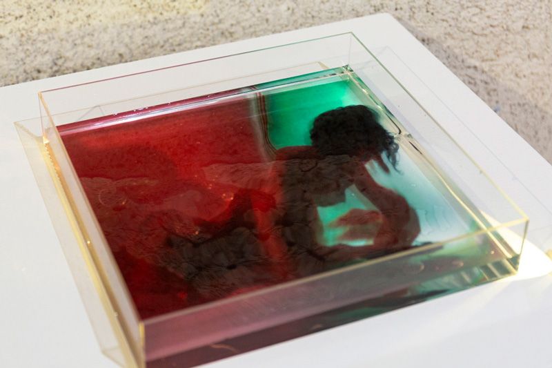 Portfolios Seleccionados 2026 Elisa Mirallles