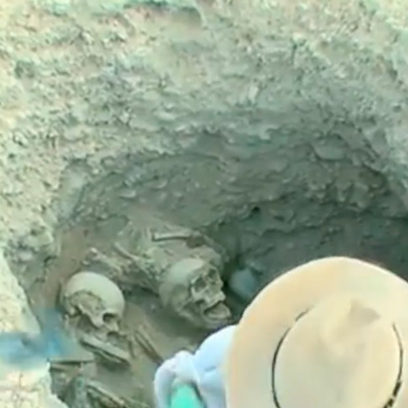 POrtfolios seleccionados Sara Munari