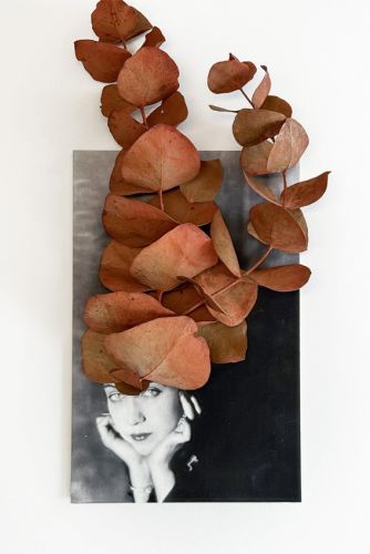 Berenice con eucalipto Rocio Bueno