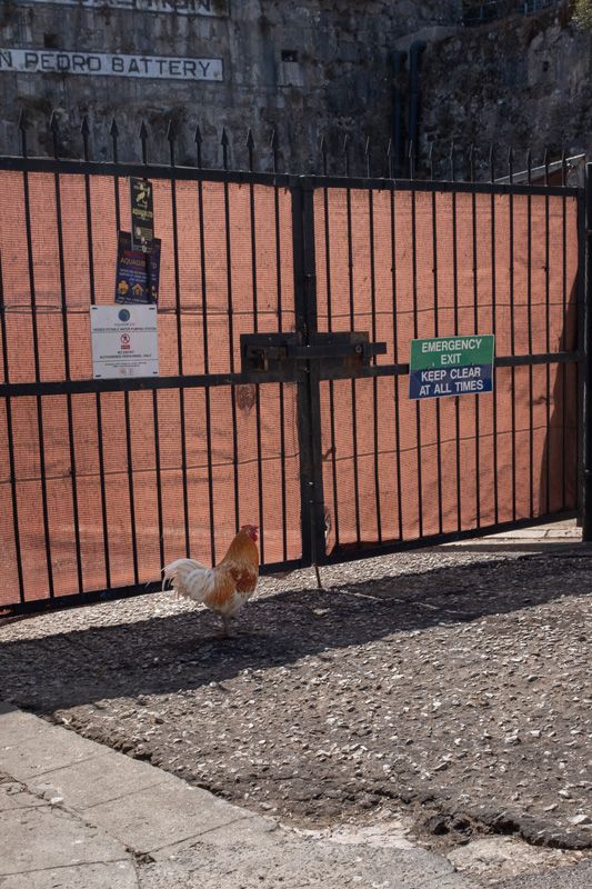 POrtfolios seleccionados Santos Alvarez León