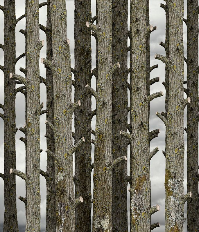 POrtfolios seleccionados Florencia Temperley