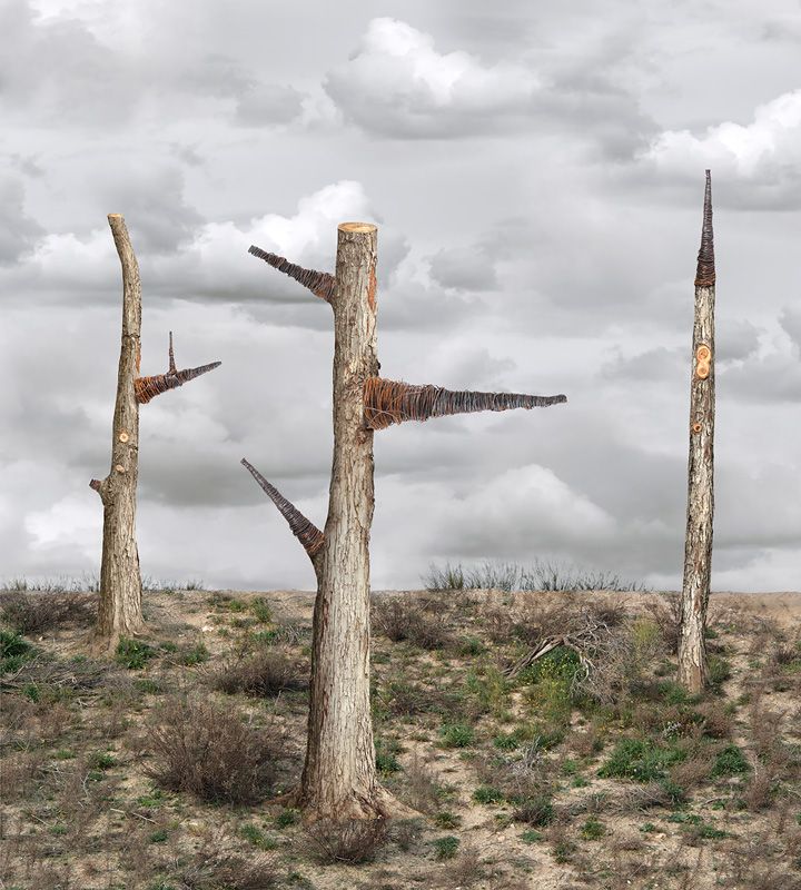 POrtfolios seleccionados Florencia Temperley