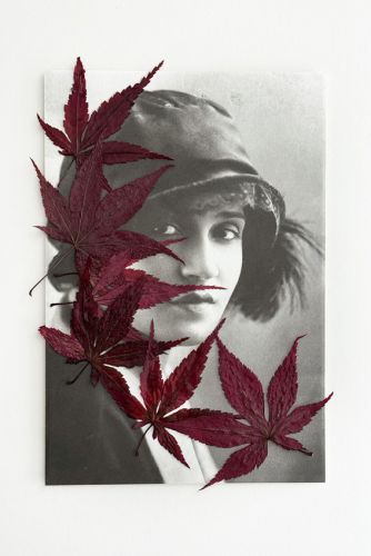 Rocio bueno Tina con arce