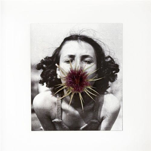 Denise con cardo de Rocío Bueno