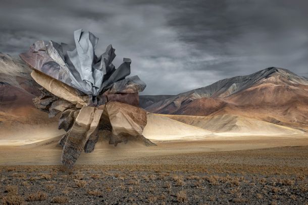 Ingrid Weyland Fotógrafa