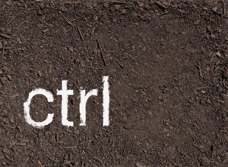 POrtfolios seleccionados Florencia Temperley