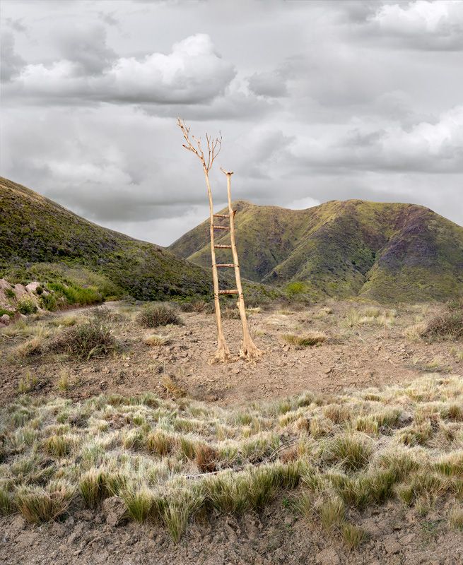 POrtfolios seleccionados Florencia Temperley