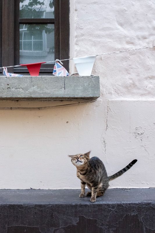 POrtfolios seleccionados Santos Alvarez León