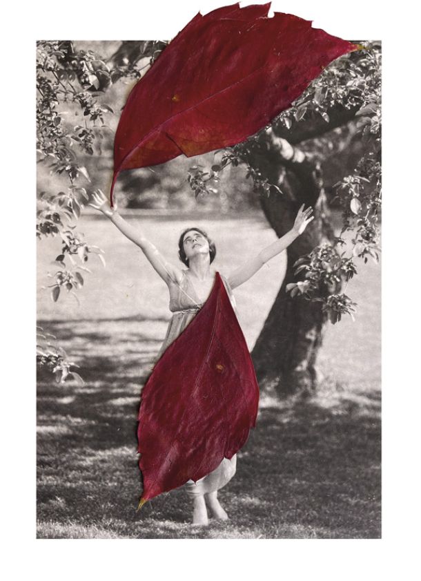 Fotografías Rocío Bueno