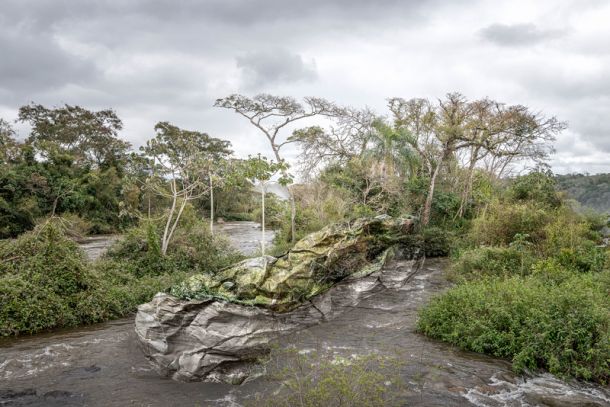 Ingrid Weyland Fotógrafa