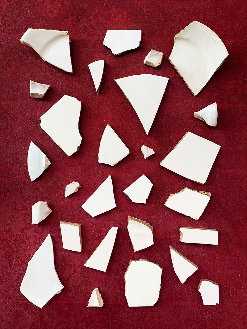 ‘Morir o renacer’
Rocío Bueno
@rocioxbueno