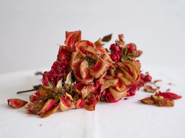 Fotografías Rocío Bueno