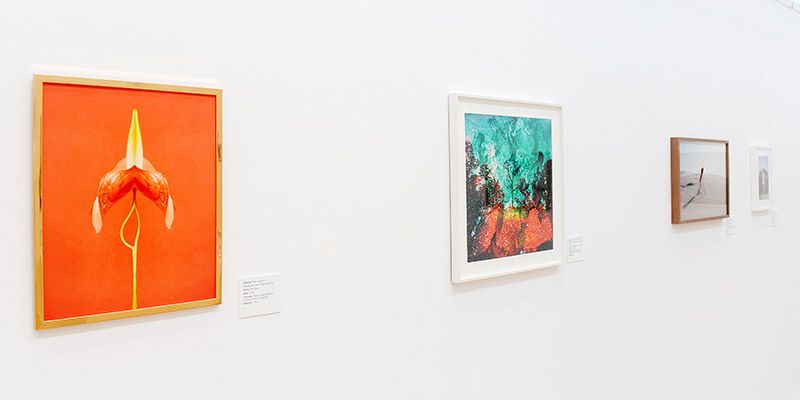 Exposicion-Red-Itiner-en-escena-Como-ser-Fotografa