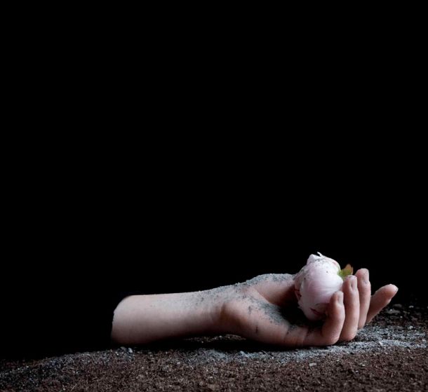 Fotografías de Laura Torrado