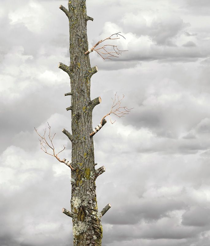 POrtfolios seleccionados Florencia Temperley