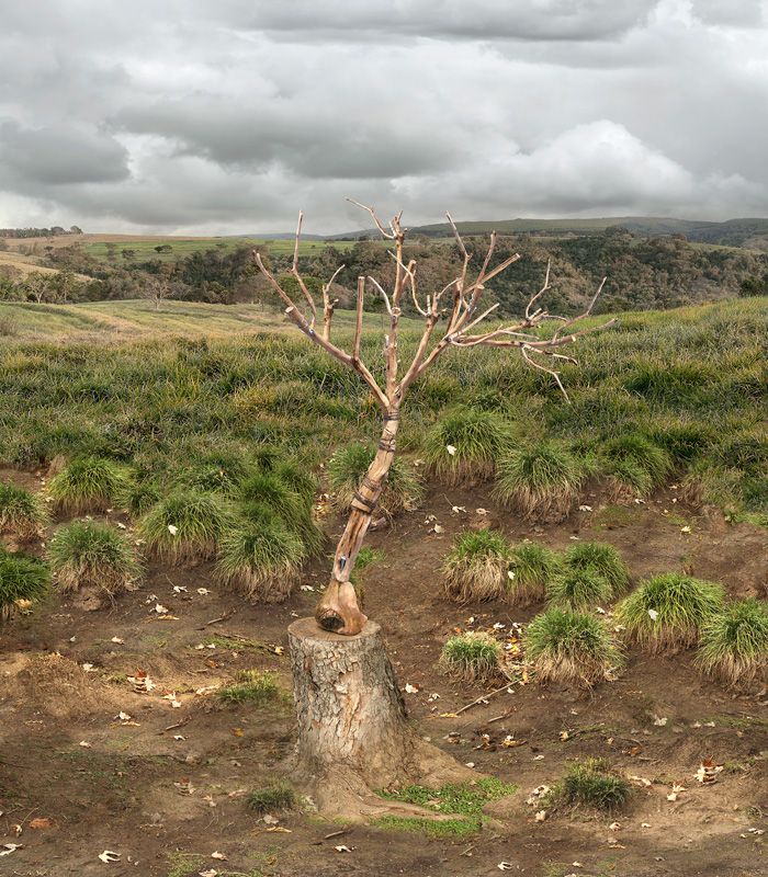 POrtfolios seleccionados Florencia Temperley