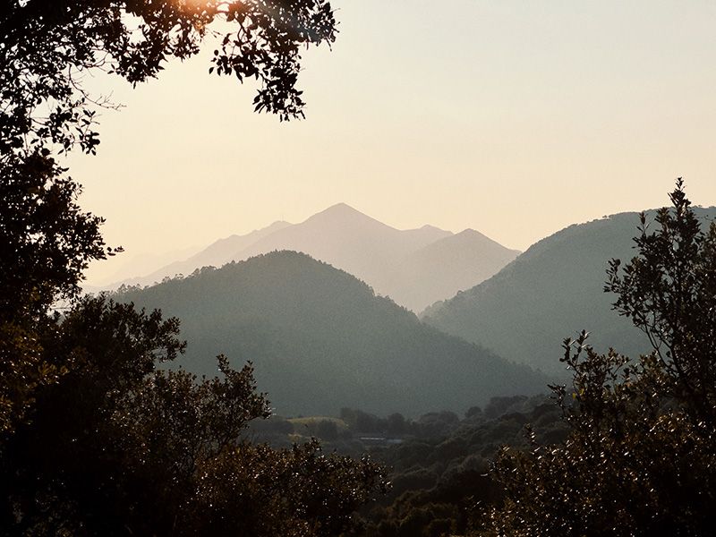 ‘Visual diary 19.08.24’
Bárbara Sánchez Palomero
@barbarasanchezpalomero