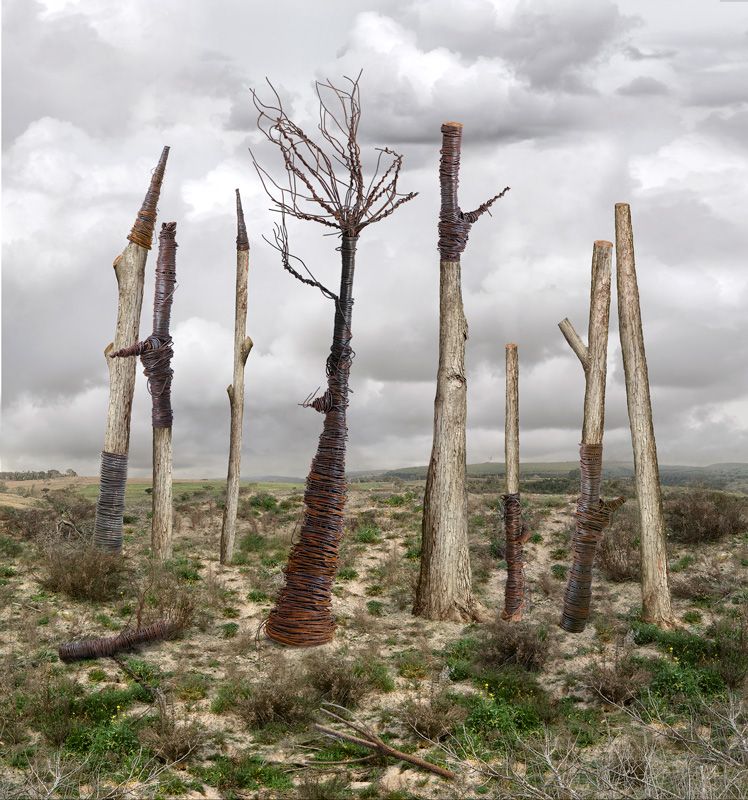 POrtfolios seleccionados Florencia Temperley