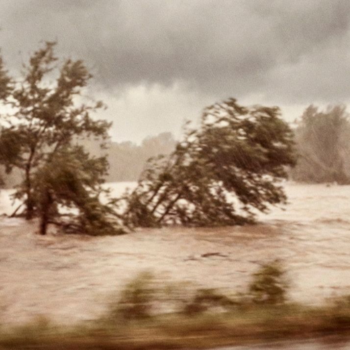 POrtfolios seleccionados Sara Munari