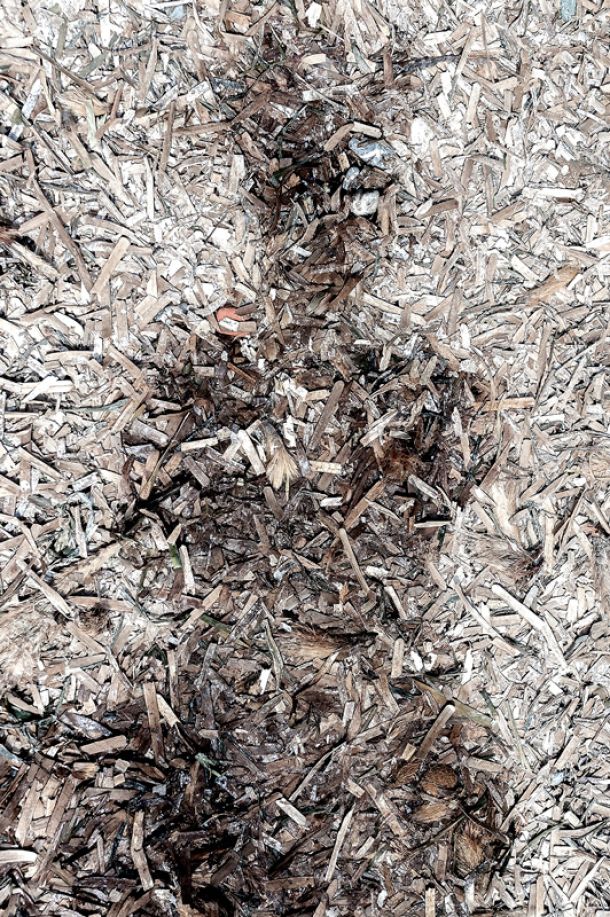 Fotografias de Lucía Morate