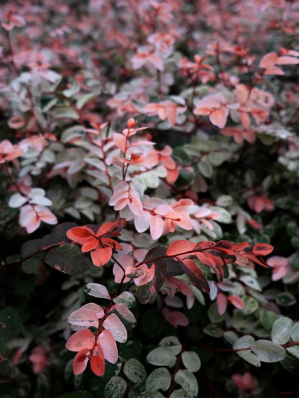 Fotografías Rocío Bueno