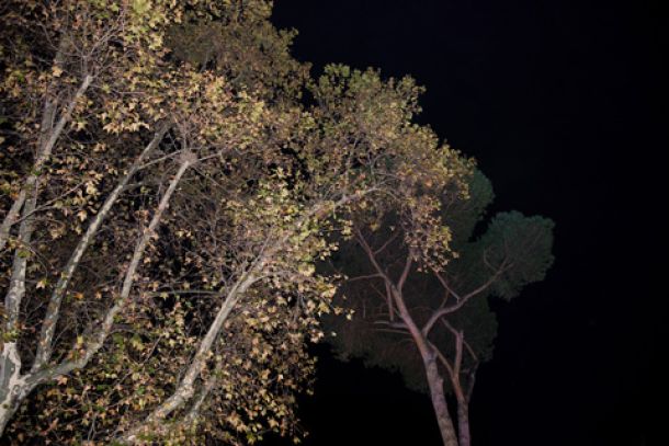 Fotografías de Mar Sáez