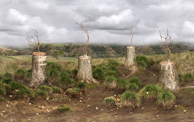 POrtfolios seleccionados Florencia Temperley