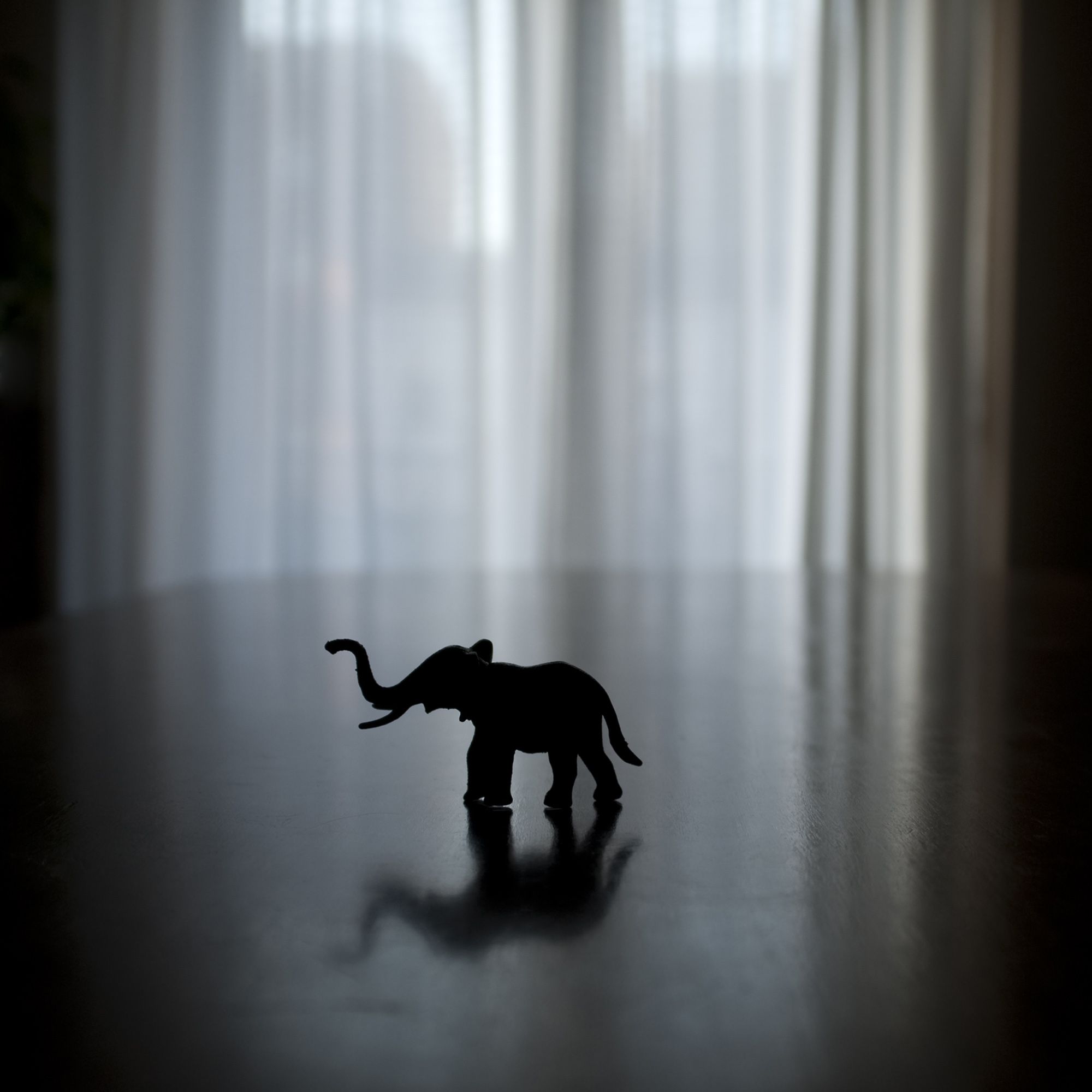 Hybrid Art Fair Lucia Morate