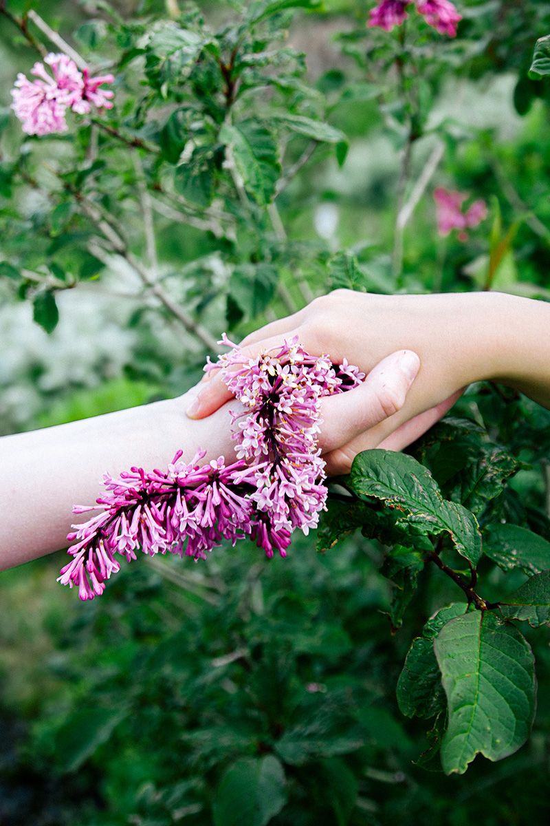 ‘Forestial things’
Elo Vázquez
@elovzqz