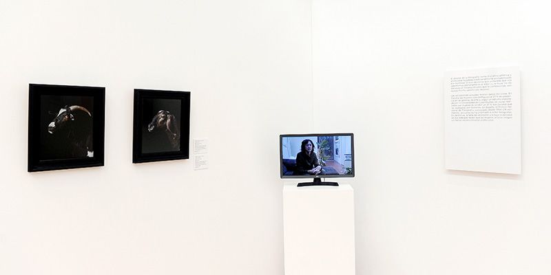 Exposicion-Red-Itiner-en-escena-Como-ser-Fotografa