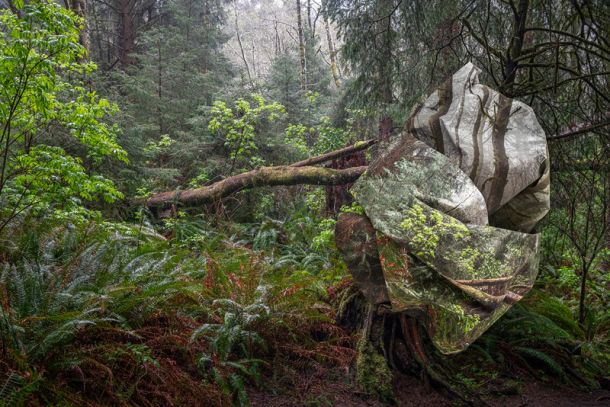Ingrid Weyland Fotógrafa