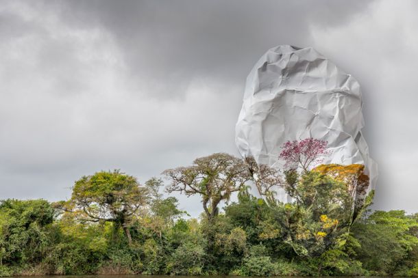 Ingrid Weyland Fotógrafa