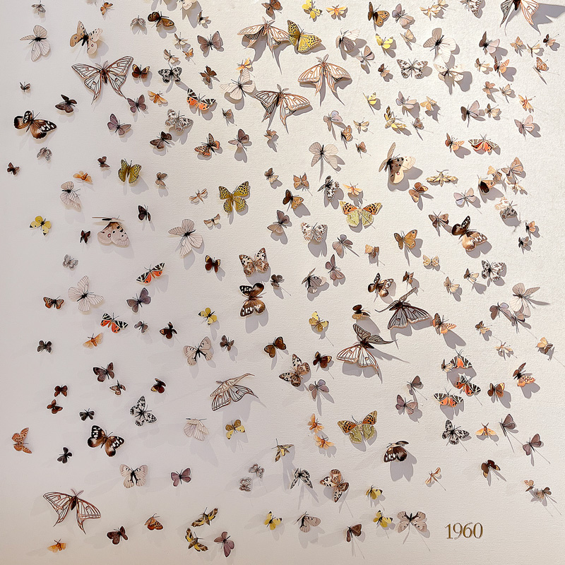 Obra de toya lLegido con mariposoas en Extinción