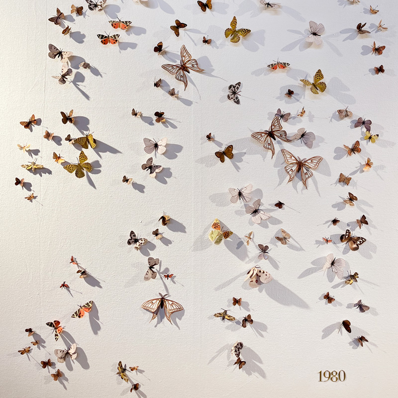 Obra de toya lLegido con mariposoas en Extinción