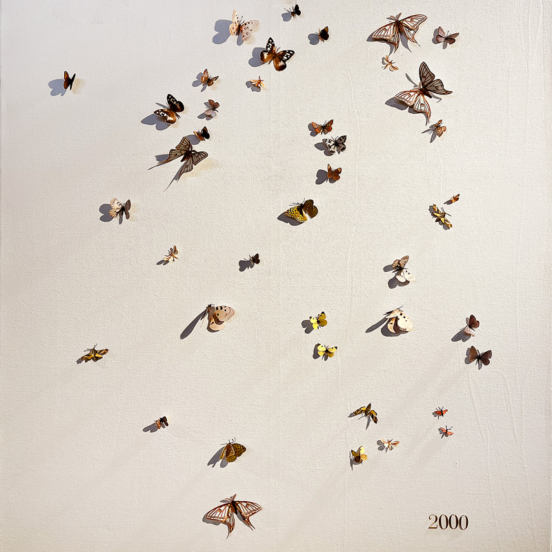 Obra de toya lLegido con mariposoas en Extinción