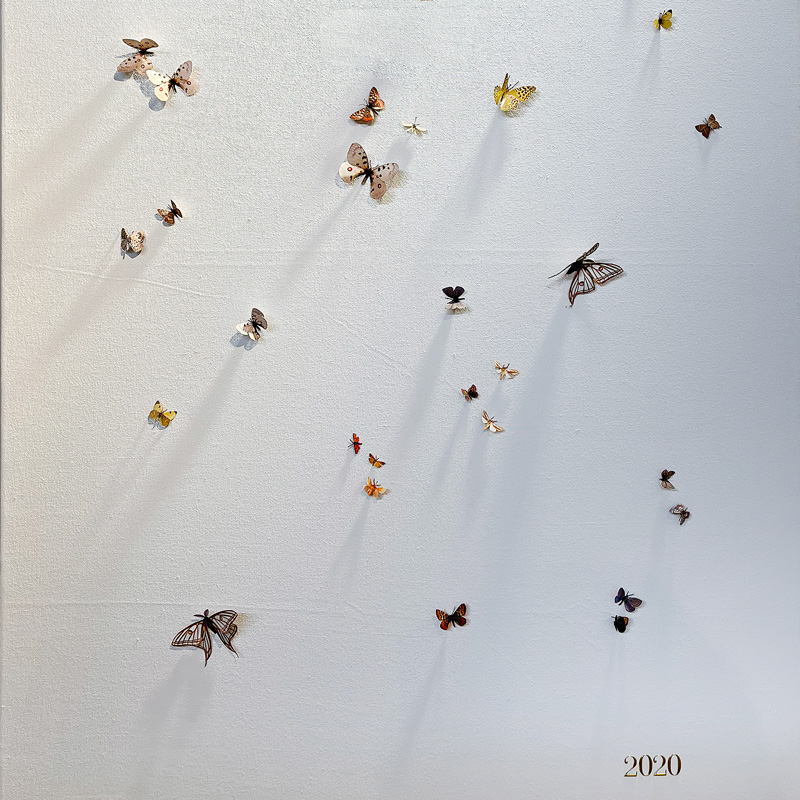 Obra de toya lLegido con mariposoas en Extinción