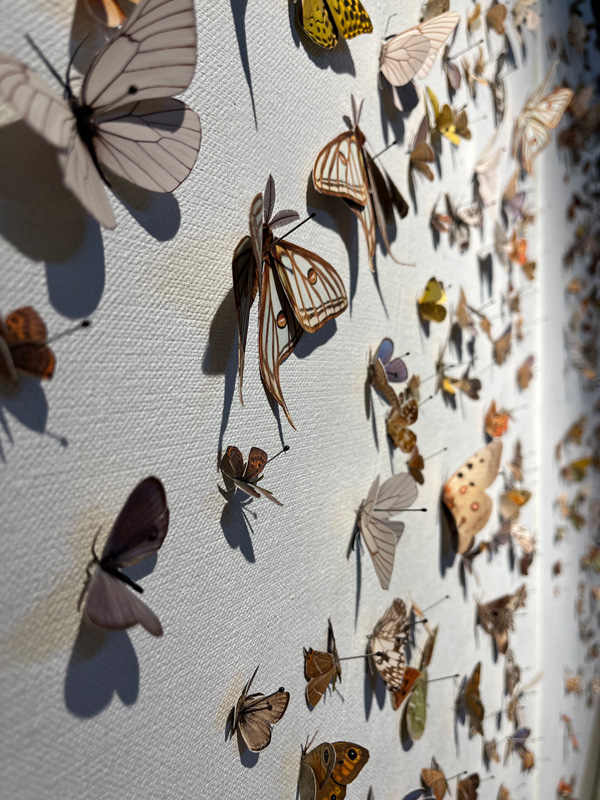 Obra de toya lLegido con mariposoas en Extinción