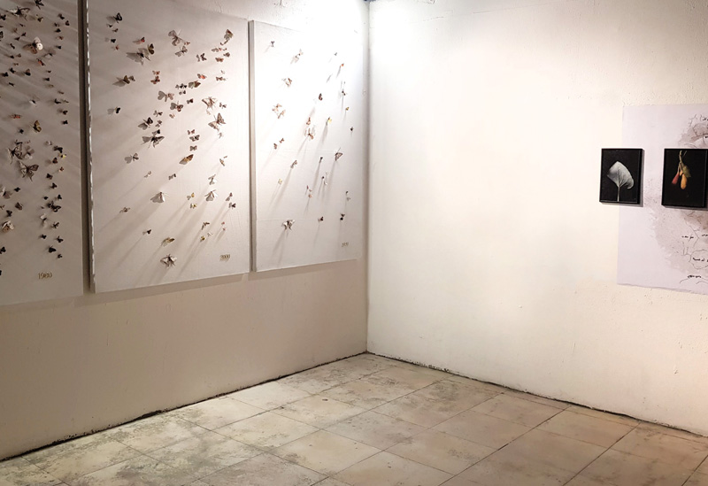 Exposición Dialogues on ecofenimism