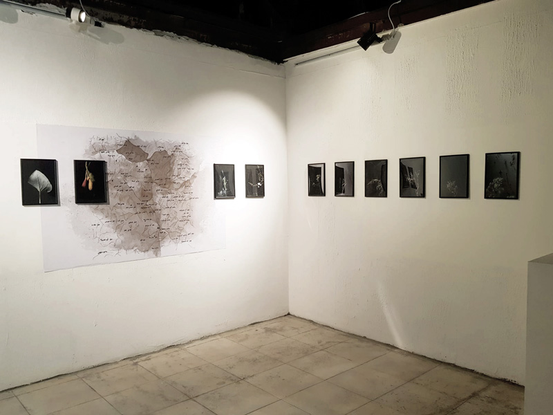 Exposición Dialogues on ecofenimism
