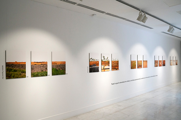 Exposición Akouedo en Casa Africa