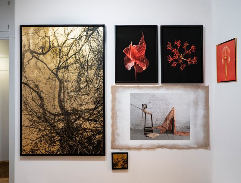 Exposición en escena madrid