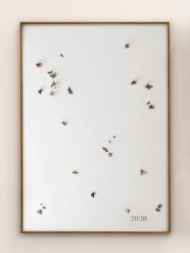 Obra de Sofía Moro
