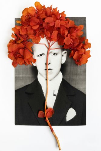 Claude con hortensia de Rocío Bueno